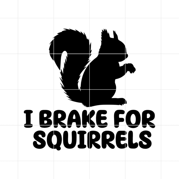 ibrakeforsquirls 1