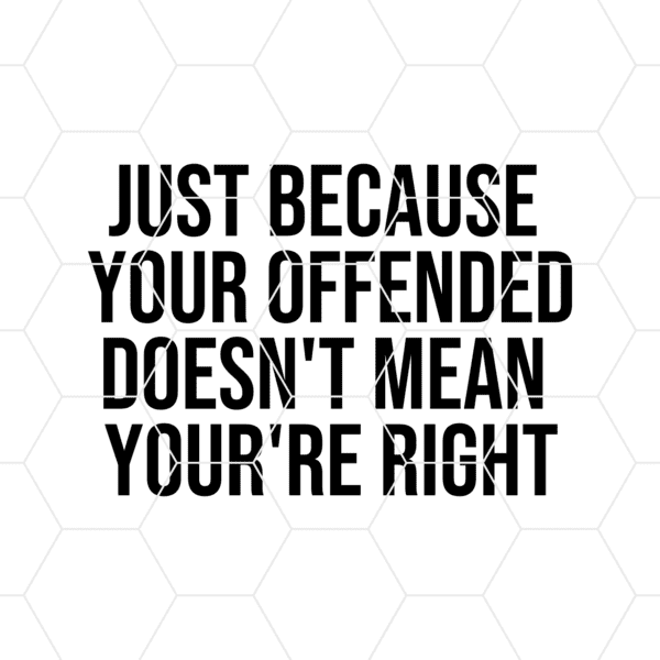 just because your offended doesnt mean youre right decal