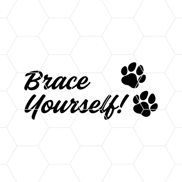 Brace Yourself Dog Decal