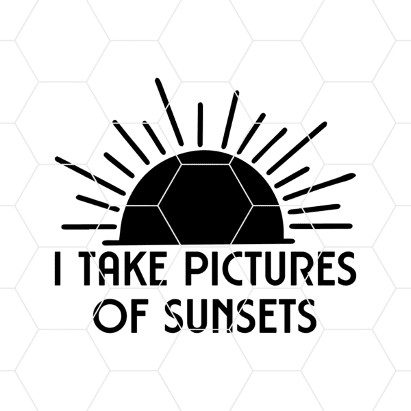 i take pictures of sunsets decal