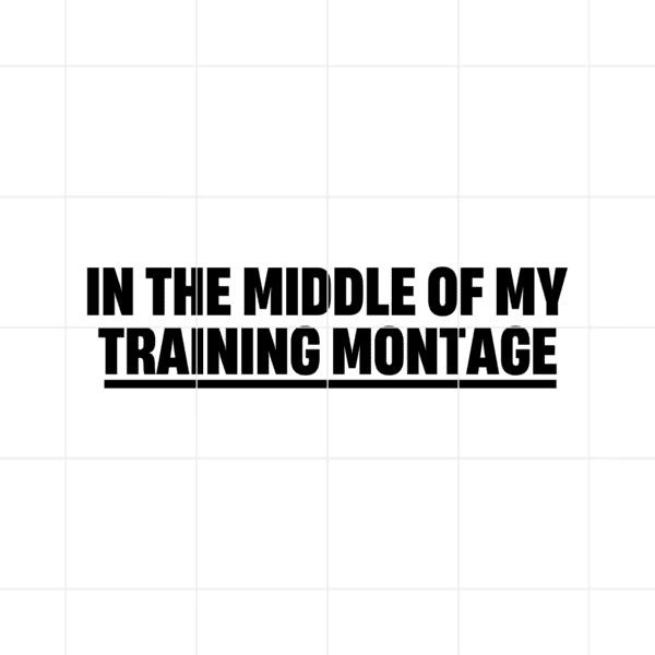 inthemiddleofmytrainingmontage