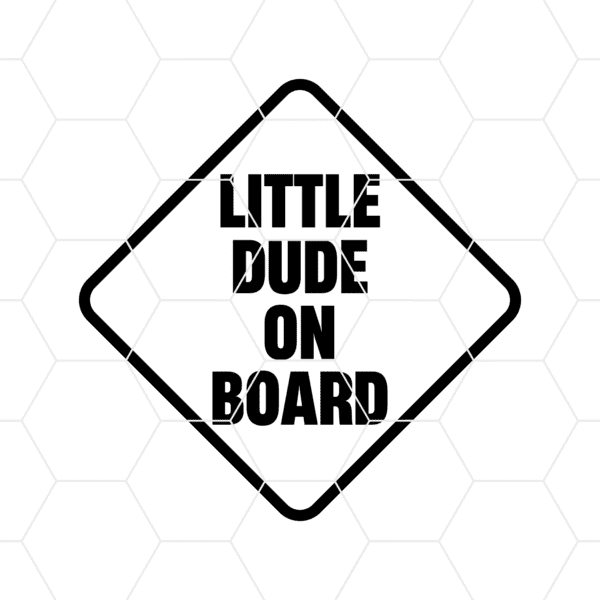 littledudeonboard