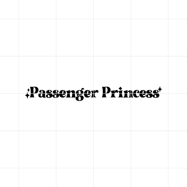 passengerprincess2