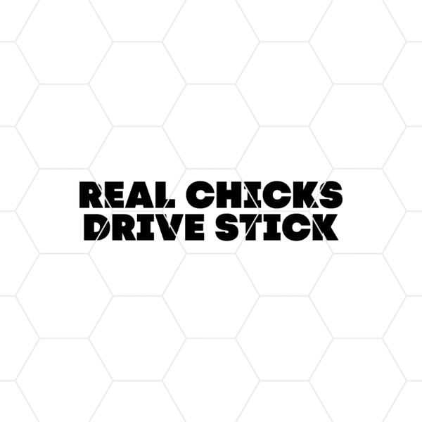 realchicksdrivestick2