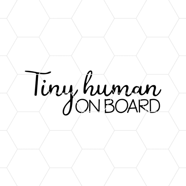 tinyhumanonboard