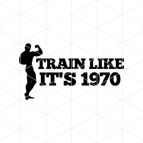 trainlikeits1970