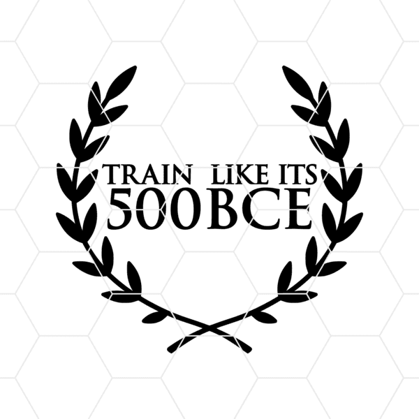 trainlikeits500bc