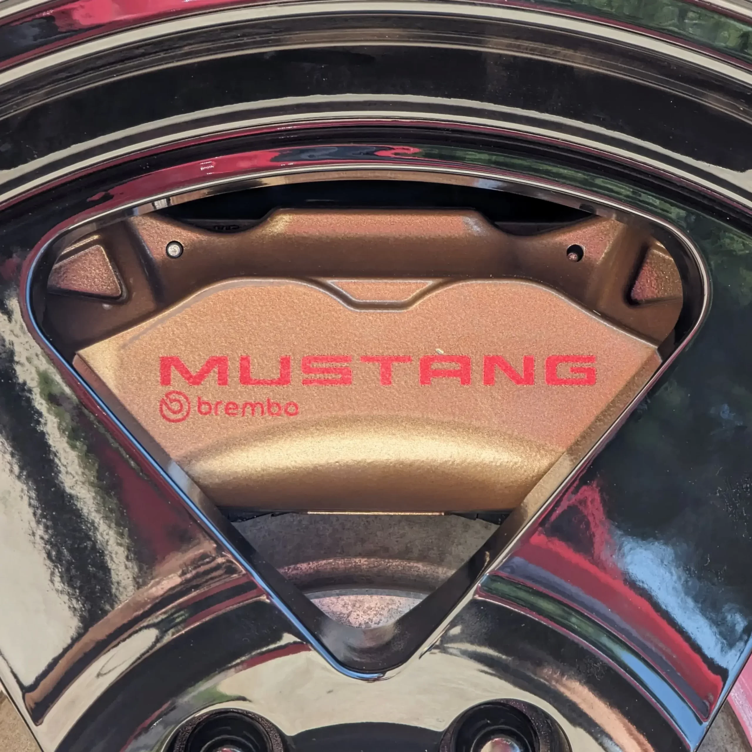 99 04 ford mustang ctsats brake caliper decal 4